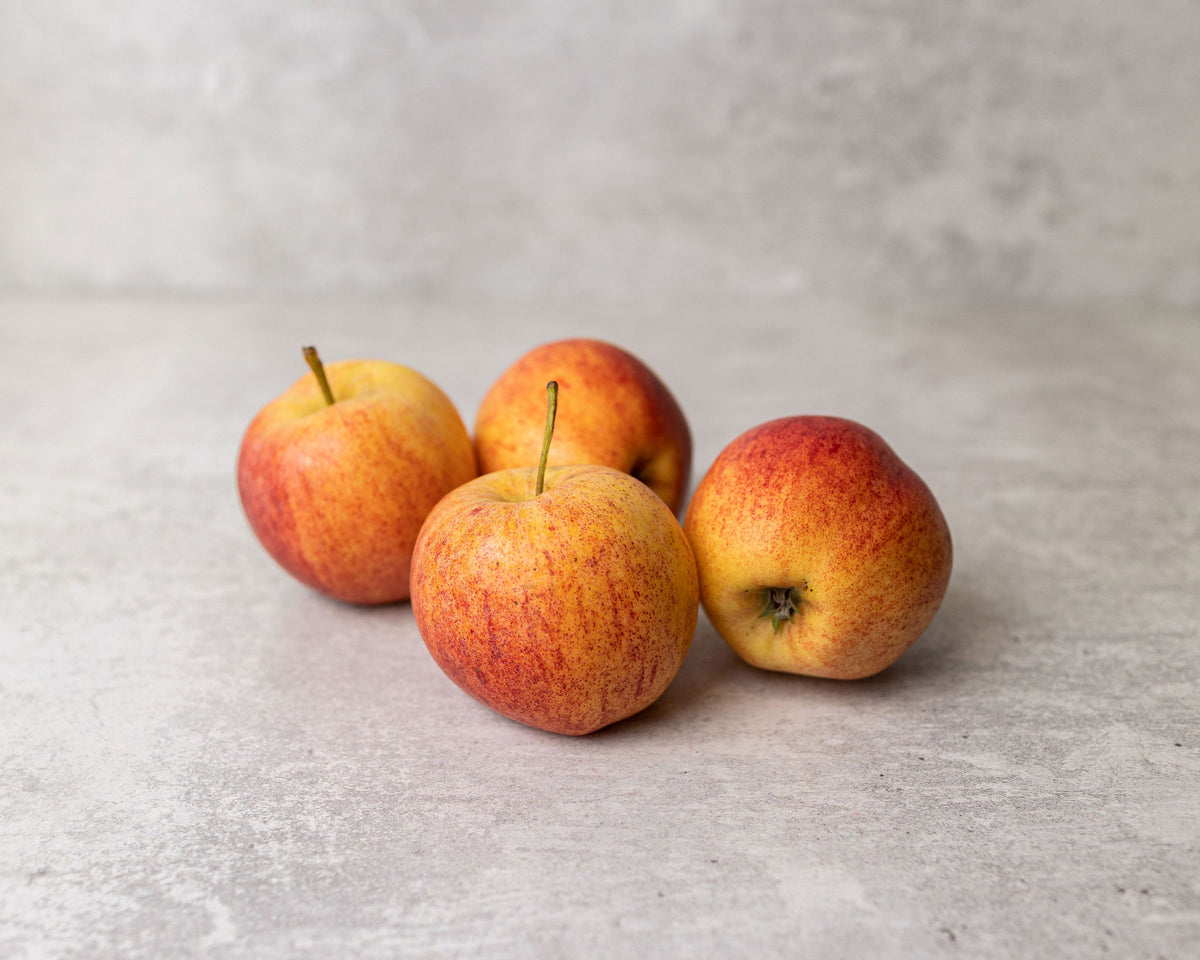 6 Pack Royal Gala Apples – Top Spot Fruit Mart